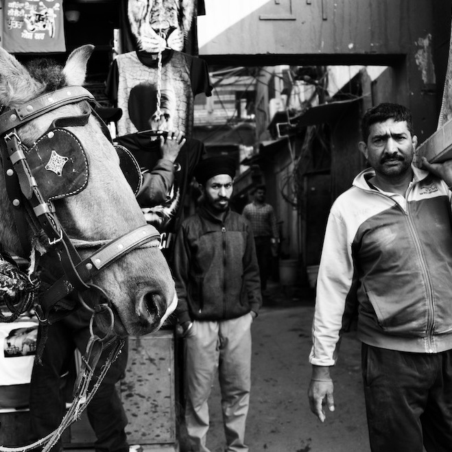 Cart horse in a street. Shot in Amritsar, Punjab, India by Ishan Shanavas
